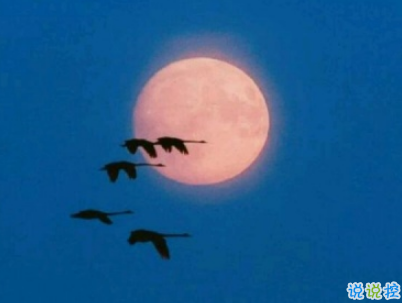 适合假期发的日常句子带图片 2019暑假放假的个性说说短语11