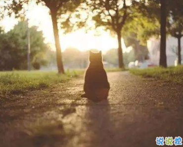 2019十月你好微信说说 迎接十月的说说简短好听1