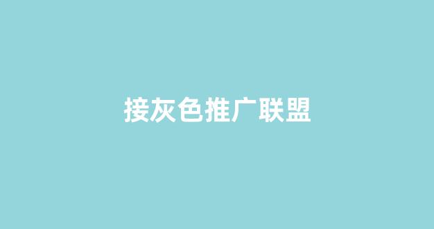 优化蜘蛛池