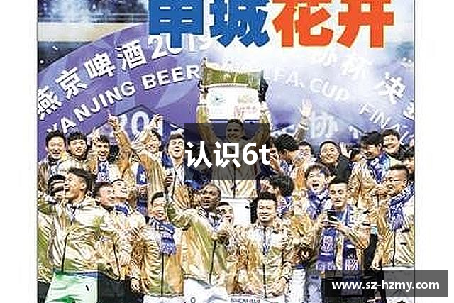 认识6t